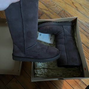 Tall Brown Uggs
